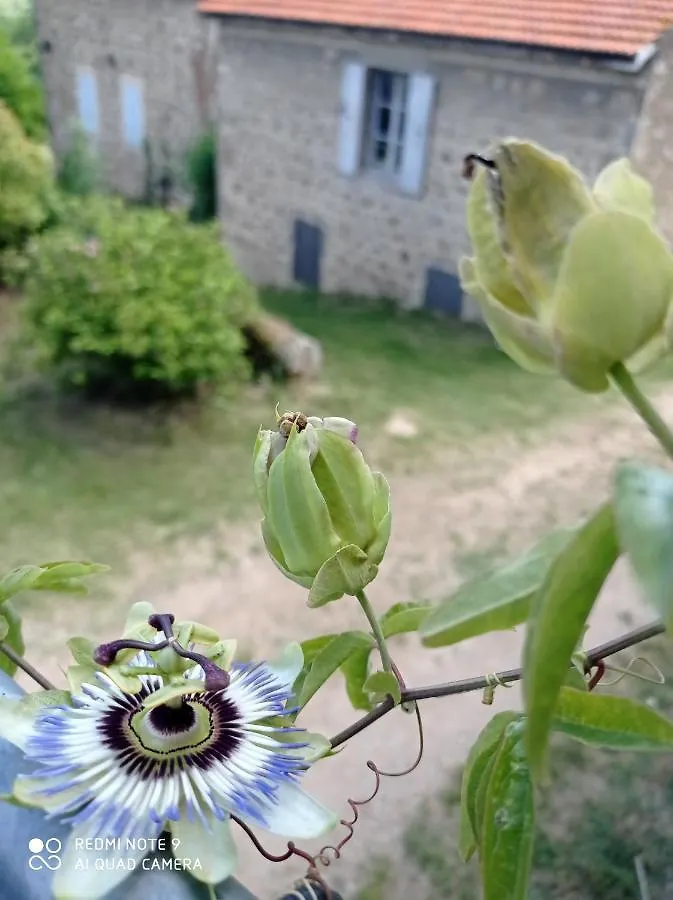 Ferme De Fenivou Villa Boulieu-les-Annonay