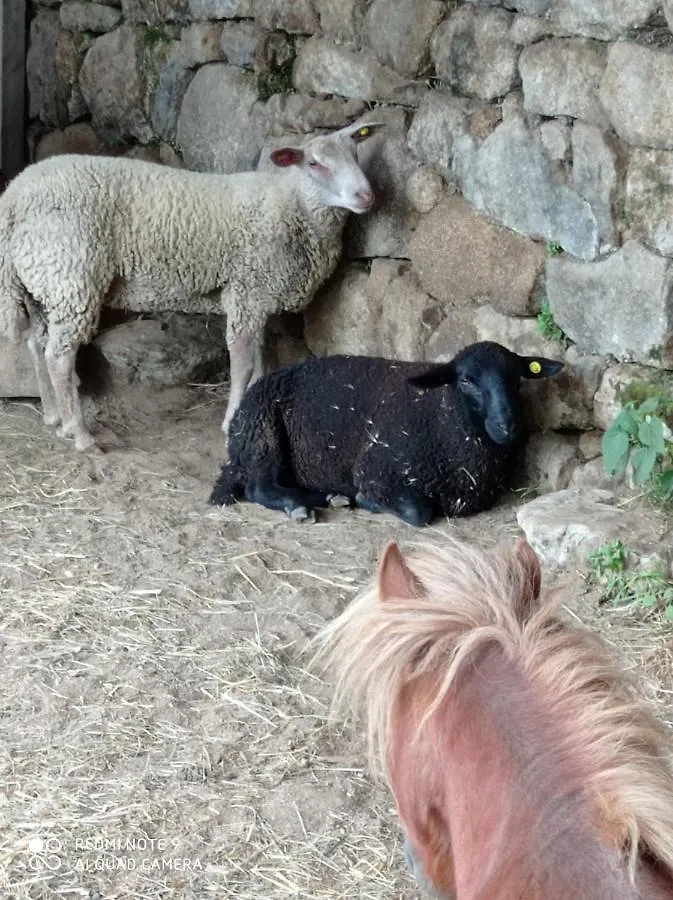 Vila Ferme De Fenivou Boulieu-les-Annonay Prázdninový dům